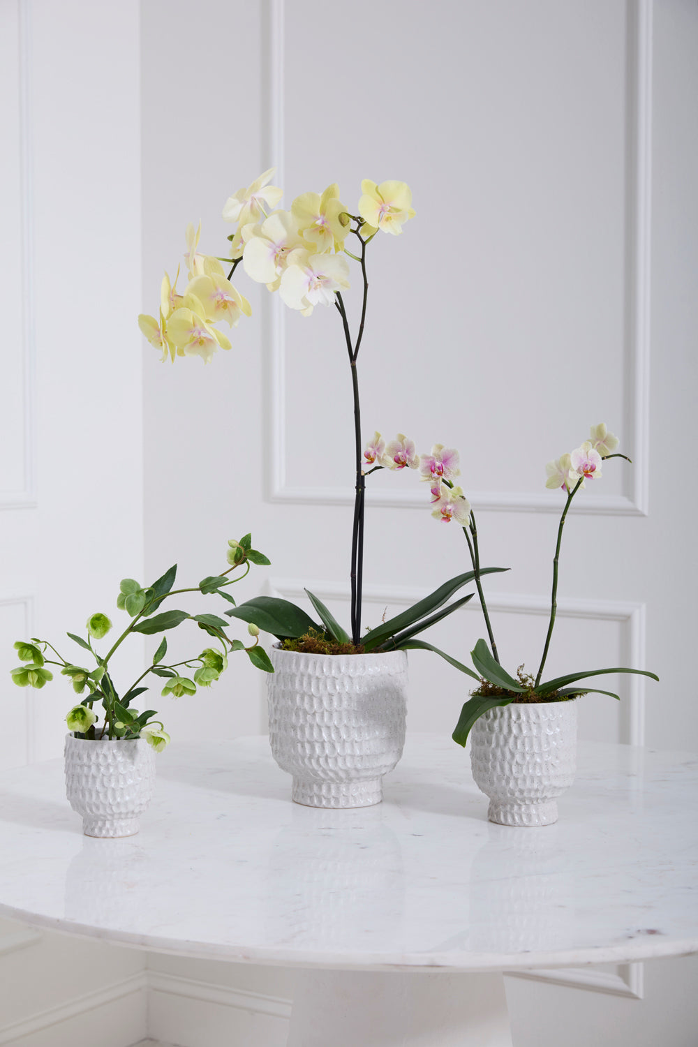 Adrien Pot Set of 4 By Accent Decor | Stands | Modishstore - 3