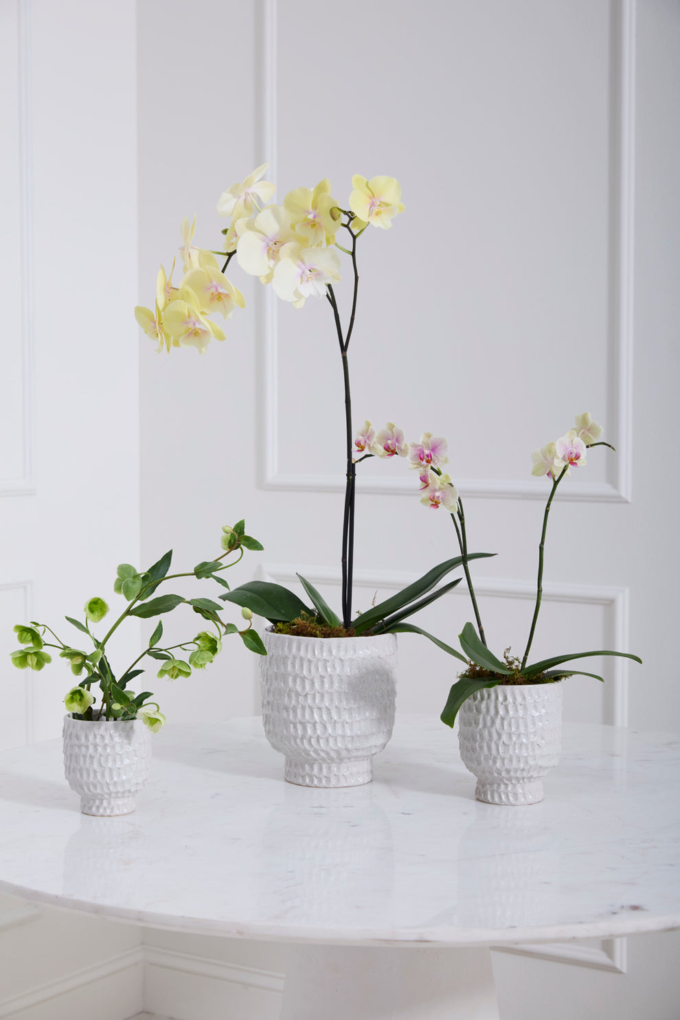 Adrien Pot Set of 4 By Accent Decor | Stands | Modishstore - 3