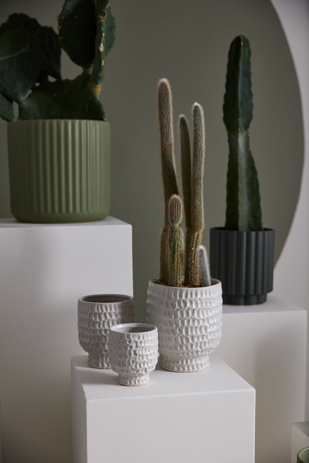 Adrien Pot Set of 4 By Accent Decor | Stands | Modishstore - 4