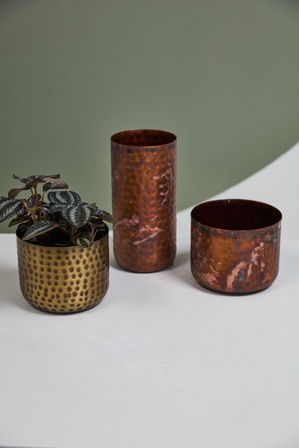 Alchemy Collection Set of 4 By Accent Decor | Stands | Modishstore - 5