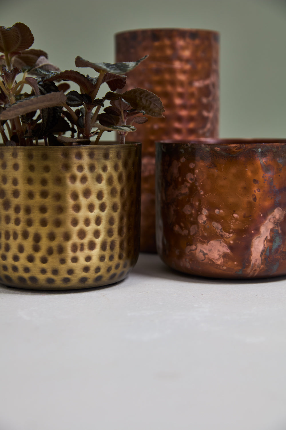 Alchemy Collection Set of 4 By Accent Decor | Stands | Modishstore - 6