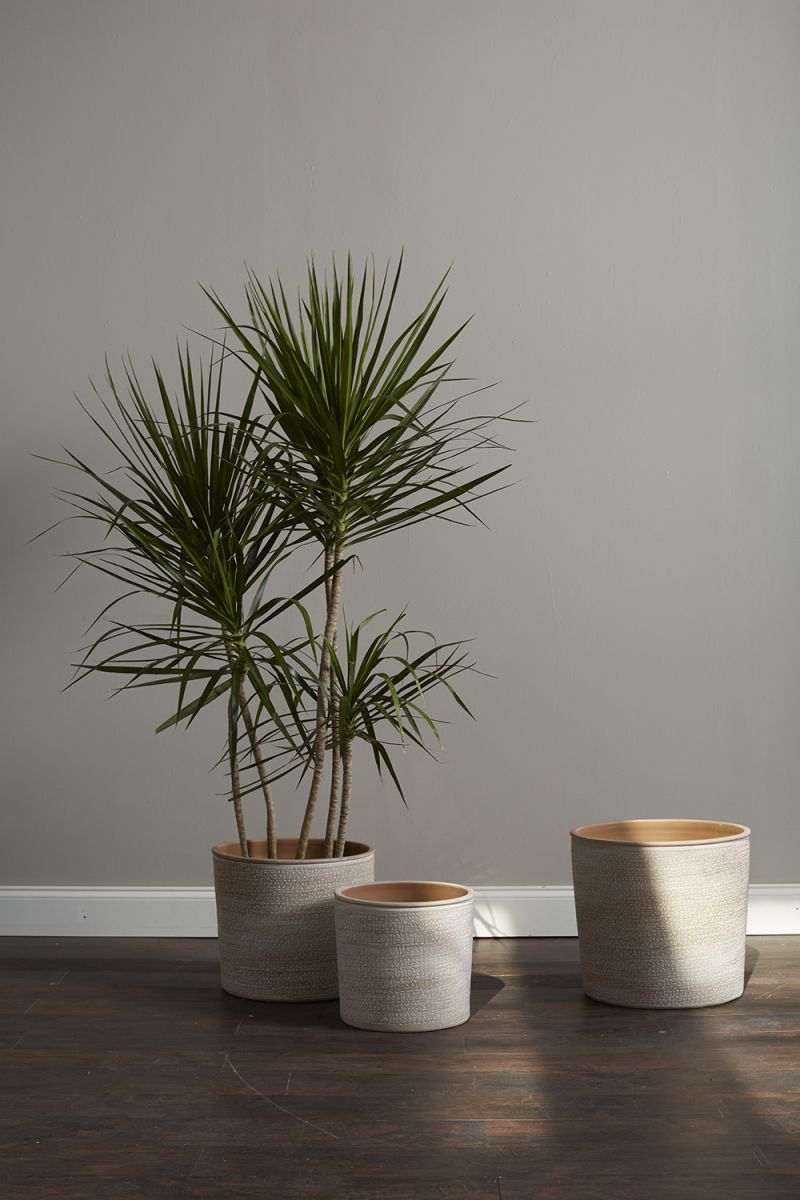 Aleppo Pot By Accent Decor | Planters, Troughs & Cachepots | Modishstore - 4