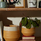 Altamira Pot Set of 4 By Accent Decor | Planters, Troughs & Cachepots | Modishstore - 3