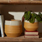 Altamira Pot Set of 4 By Accent Decor | Planters, Troughs & Cachepots | Modishstore - 4