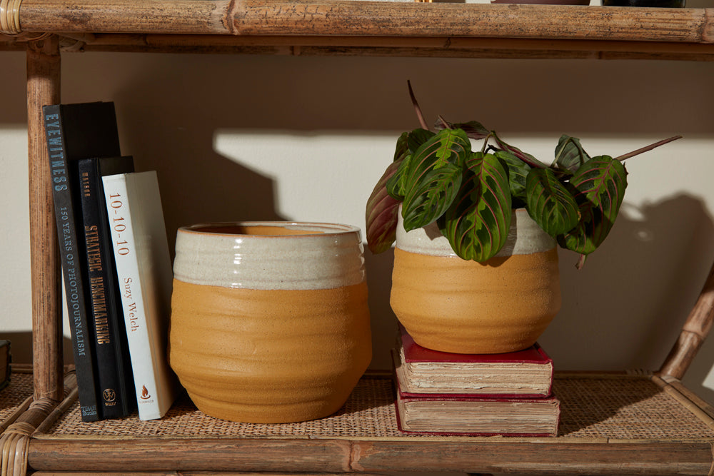 Altamira Pot Set of 4 By Accent Decor | Planters, Troughs & Cachepots | Modishstore - 4