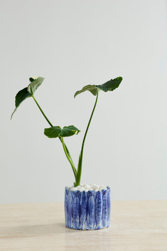 Amalfi Pot Set of 4 By Accent Decor | Planters, Troughs & Cachepots | Modishstore - 1