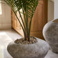 Angelou Planter By Accent Decor | Planters, Troughs & Cachepots | Modishstore - 1