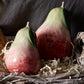 Anjou Pear Set of 4 By Accent Decor | Decor | Modishstore - 3