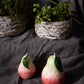 Anjou Pear Set of 4 By Accent Decor | Decor | Modishstore - 4