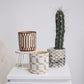 Anselm Pot Set of 2 By Accent DŽcor