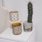 Anselm Pot Set of 2 By Accent DŽcor