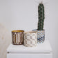 Anselm Pot Set of 2 By Accent DŽcor