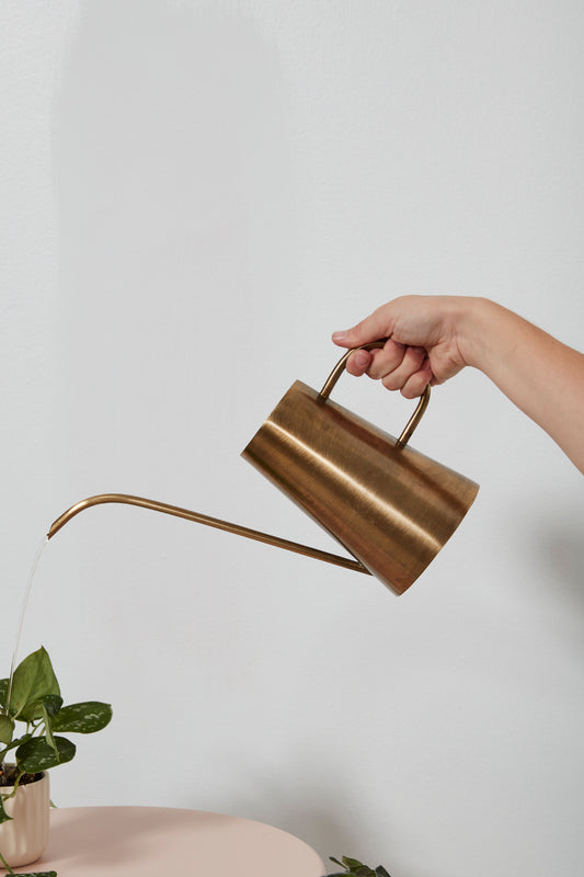 Antalya Watering Can Set of 2 By Accent Decor | Planters, Troughs & Cachepots | Modishstore - 1