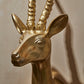 Antelope Head By Accent Decor | Wall Decor | Modishstore - 1