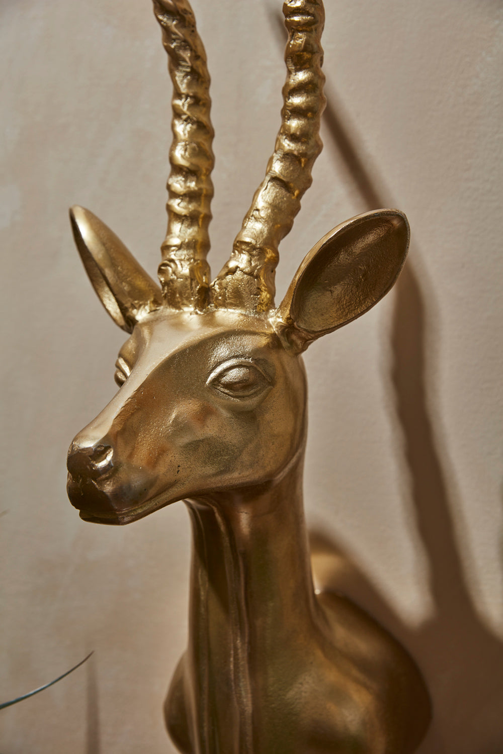 Antelope Head By Accent Decor | Wall Decor | Modishstore - 1