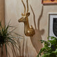 Antelope Head By Accent Decor | Wall Decor | Modishstore - 3