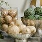 Antoinette Ornament Set of 8 By Accent Decor | Ornaments | Modishstore - 6
