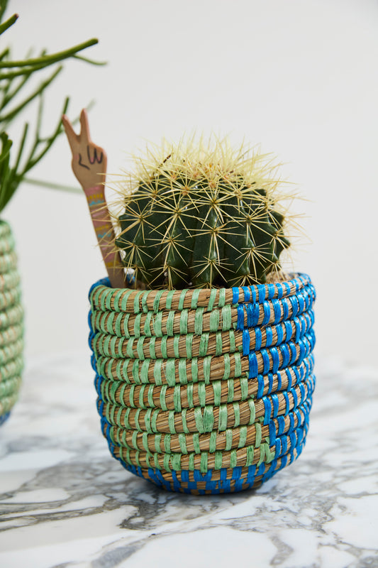 Aqua Basket - Set of 4 By Accent Decor | Stands | Modishstore - 1