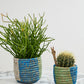 Aqua Basket - Set of 4 By Accent Decor | Stands | Modishstore - 3