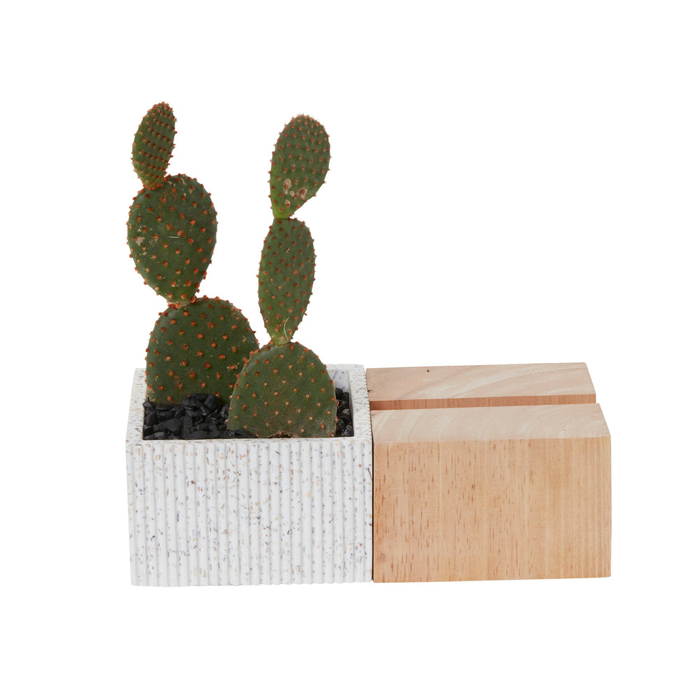 Aravalli Phone Stand Planter Set of 2 By Accent Decor | Planters, Troughs & Cachepots | Modishstore - 6