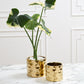 Architect Collection Set of 8 By Accent Decor | Planters, Troughs & Cachepots | Modishstore - 1