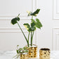 Architect Collection Set of 8 By Accent Decor | Planters, Troughs & Cachepots | Modishstore - 3