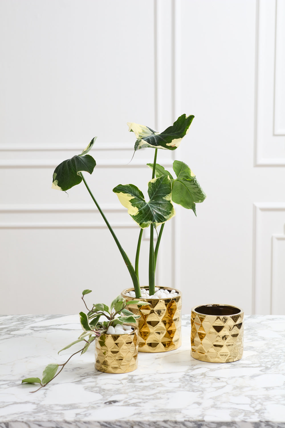 Architect Collection Set of 8 By Accent Decor | Planters, Troughs & Cachepots | Modishstore - 3