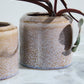 Arden Pot Set of 8 By Accent Decor | Wall Decor | Modishstore - 1