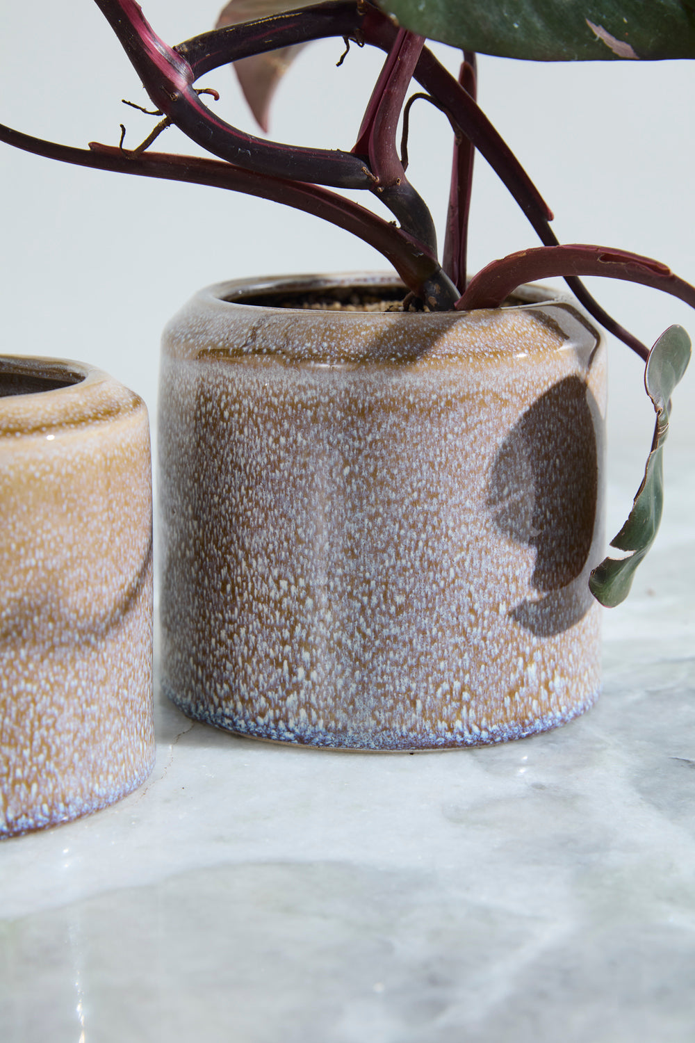 Arden Pot Set of 8 By Accent Decor | Wall Decor | Modishstore - 1
