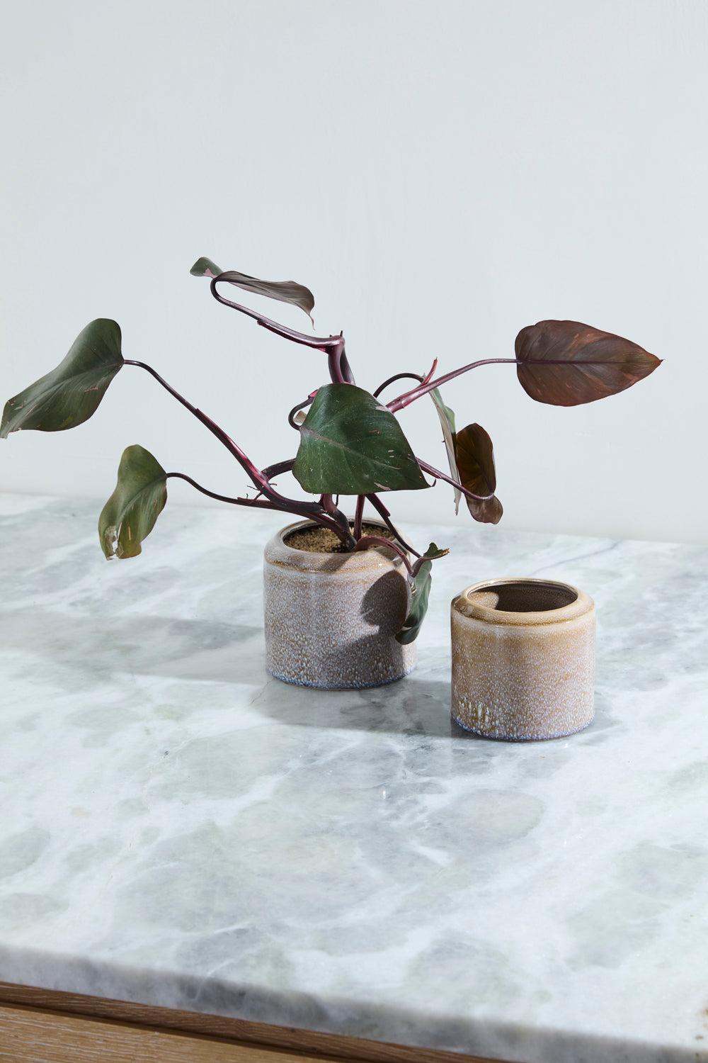 Arden Pot Set of 8 By Accent Decor | Wall Decor | Modishstore - 5