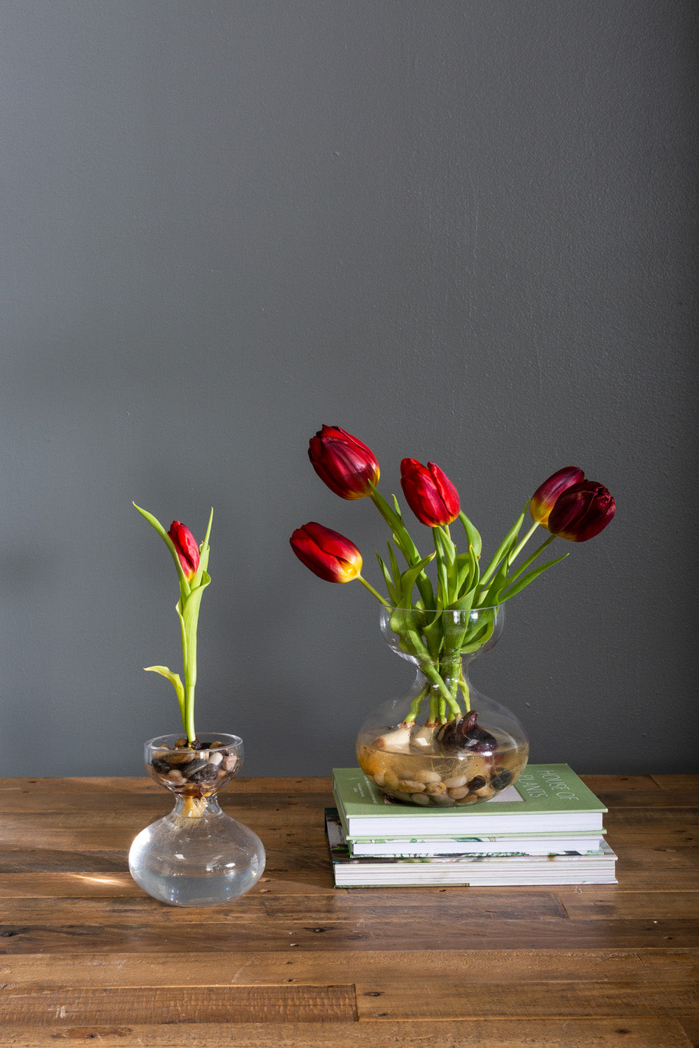 Ashby Vase Set of 4 By Accent Decor | Vases | Modishstore - 1