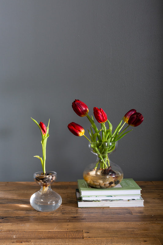 Ashby Vase Set of 4 By Accent Decor | Vases | Modishstore - 1
