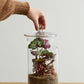 Asteridge Terrarium Set of 2 By Accent Decor | Planters, Troughs & Cachepots | Modishstore - 1