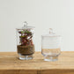 Asteridge Terrarium Set of 2 By Accent Decor | Planters, Troughs & Cachepots | Modishstore - 5