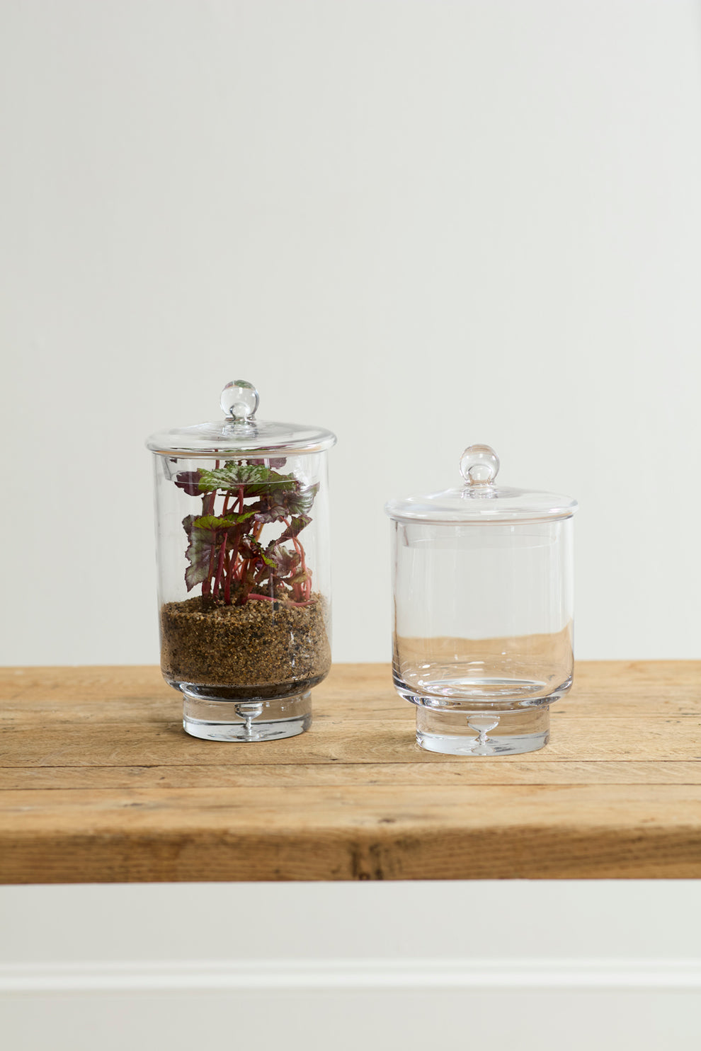 Asteridge Terrarium Set of 2 By Accent Decor | Planters, Troughs & Cachepots | Modishstore - 5