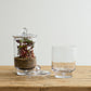 Asteridge Terrarium Set of 2 By Accent Decor | Planters, Troughs & Cachepots | Modishstore - 4