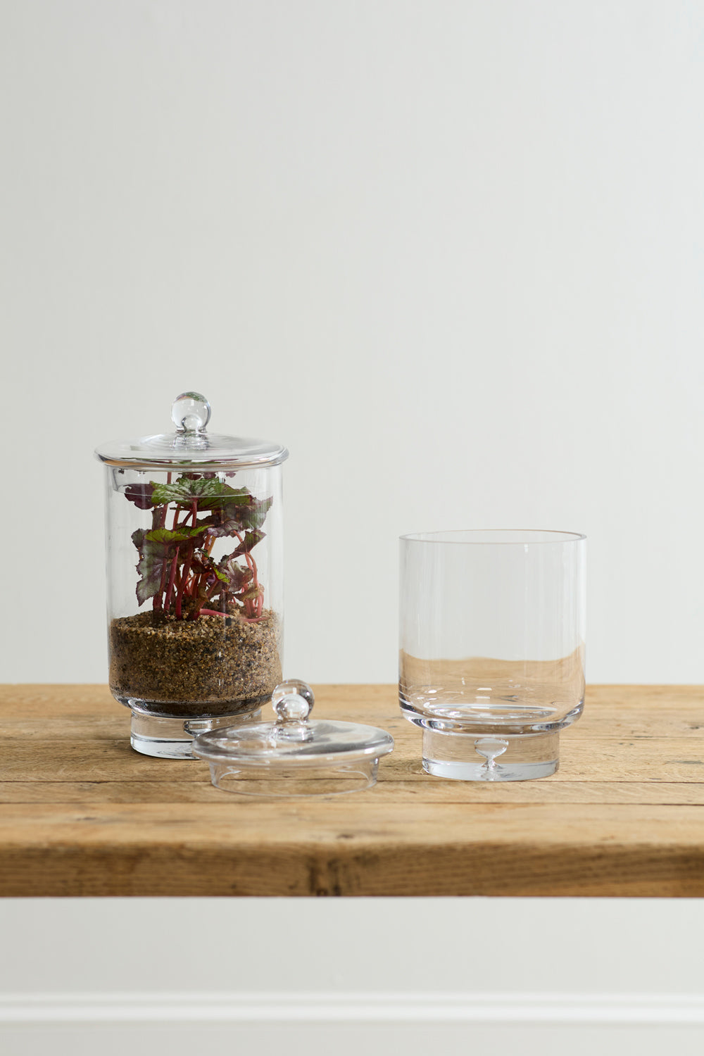 Asteridge Terrarium Set of 2 By Accent Decor | Planters, Troughs & Cachepots | Modishstore - 4