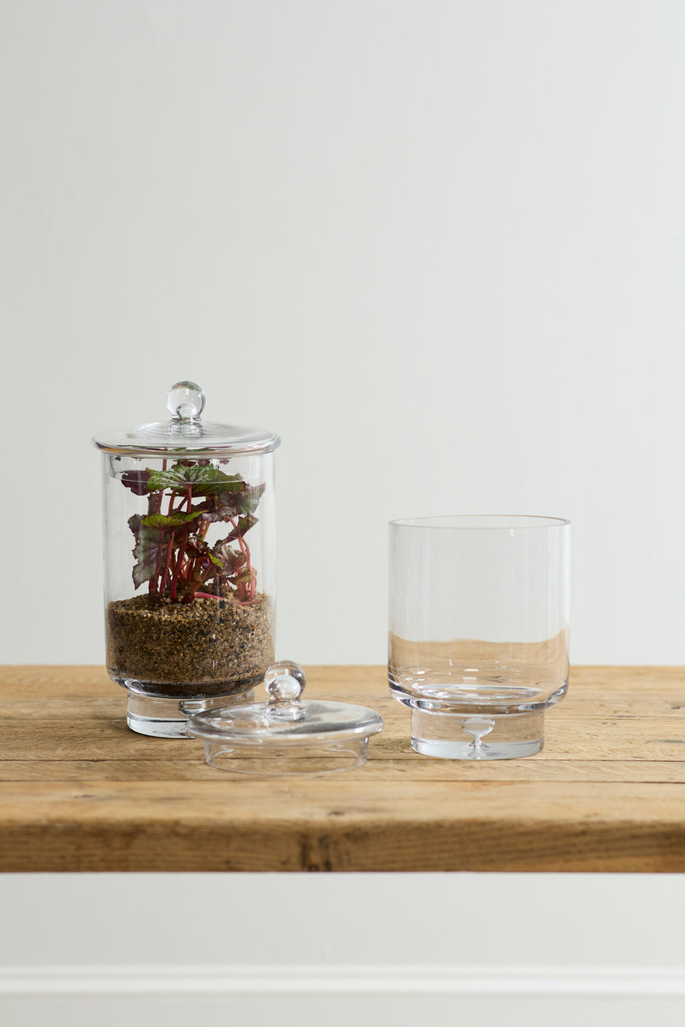 Asteridge Terrarium Set of 2 By Accent Decor | Planters, Troughs & Cachepots | Modishstore - 4