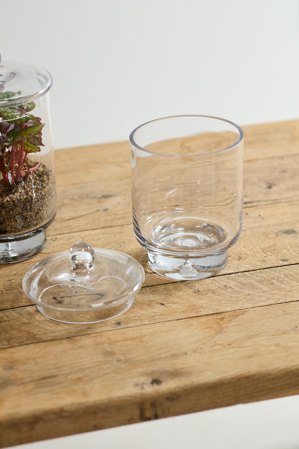 Asteridge Terrarium Set of 2 By Accent Decor | Planters, Troughs & Cachepots | Modishstore - 3