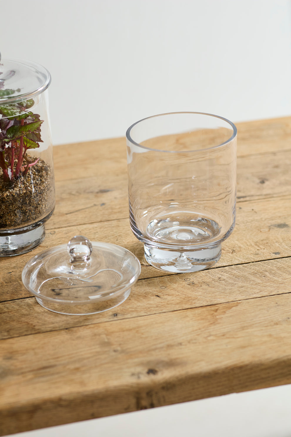 Asteridge Terrarium Set of 2 By Accent Decor | Planters, Troughs & Cachepots | Modishstore - 3