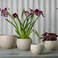 Astrid Pot Set of 4 By Accent Decor | Planters, Troughs & Cachepots | Modishstore - 1