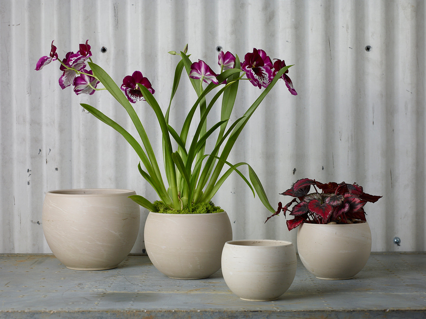 Astrid Pot Set of 4 By Accent Decor | Planters, Troughs & Cachepots | Modishstore - 1