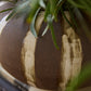 Atwood Vase By Accent Decor | Vases | Modishstore - 5