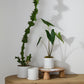 Author Pot with Saucer Set of 4 By Accent Decor | Planters, Troughs & Cachepots | Modishstore - 3