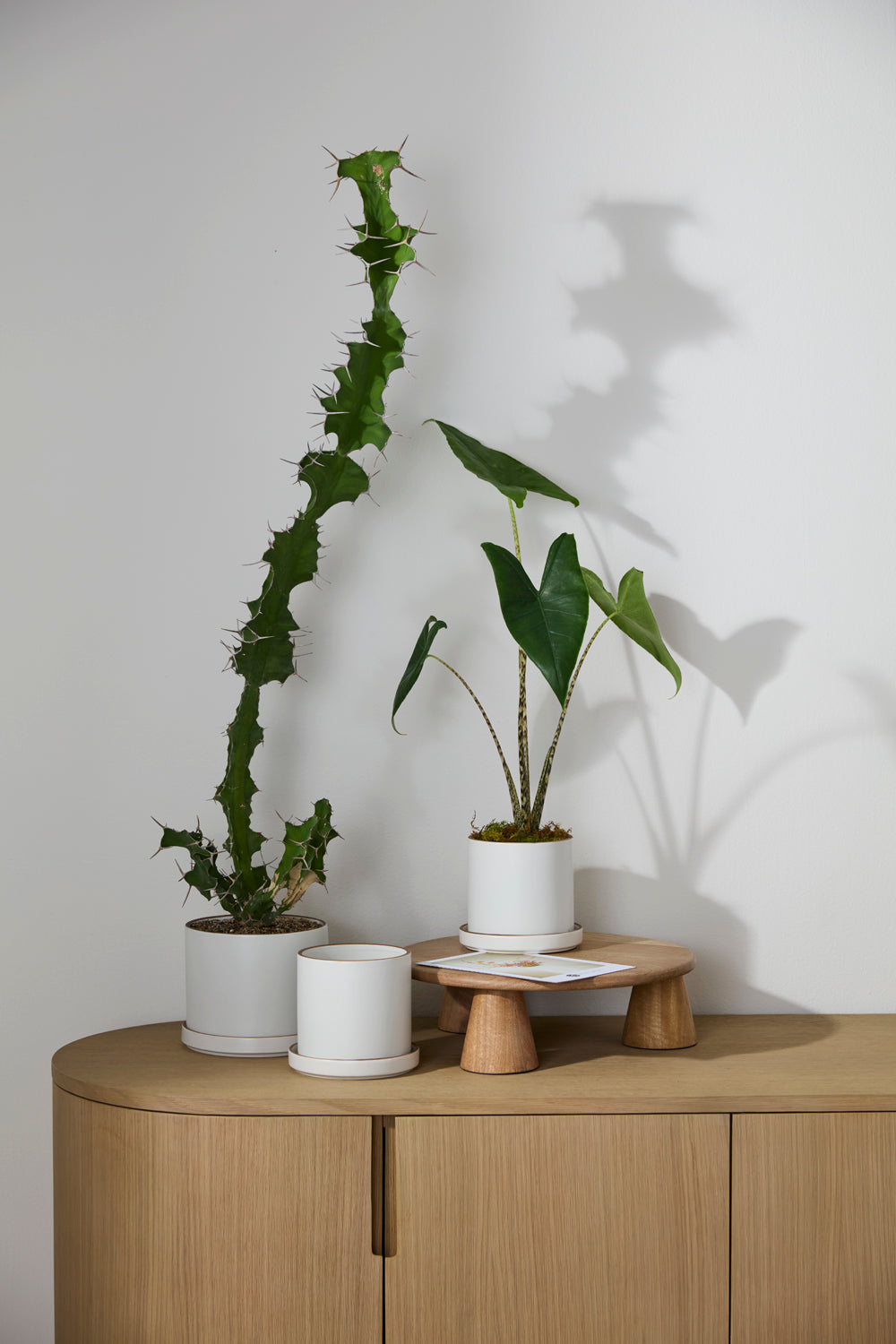 Author Pot with Saucer Set of 4 By Accent Decor | Planters, Troughs & Cachepots | Modishstore - 3