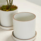 Author Pot with Saucer Set of 4 By Accent Decor | Planters, Troughs & Cachepots | Modishstore - 7
