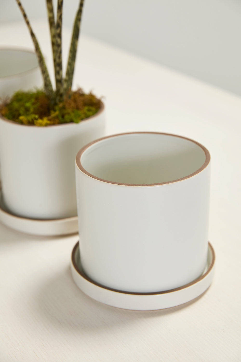 Author Pot with Saucer Set of 4 By Accent Decor | Planters, Troughs & Cachepots | Modishstore - 7