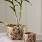 Autumn Pear Pot Set of 4 By Accent Decor | Planters, Troughs & Cachepots | Modishstore - 3