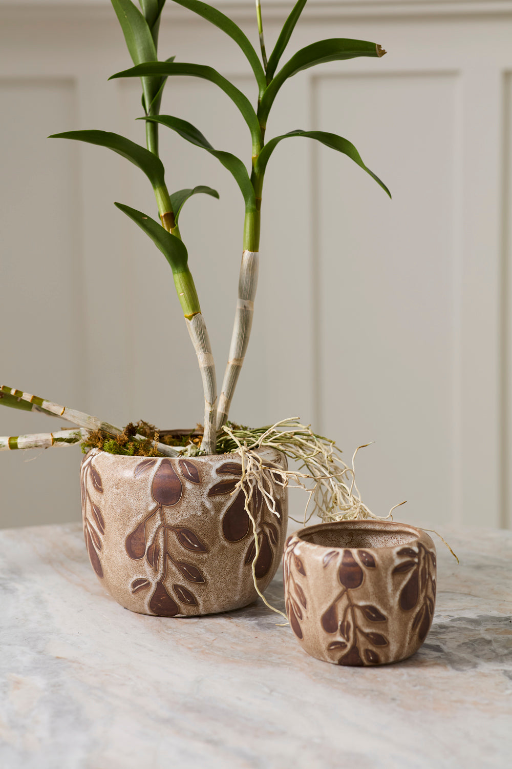 Autumn Pear Pot Set of 4 By Accent Decor | Planters, Troughs & Cachepots | Modishstore - 3