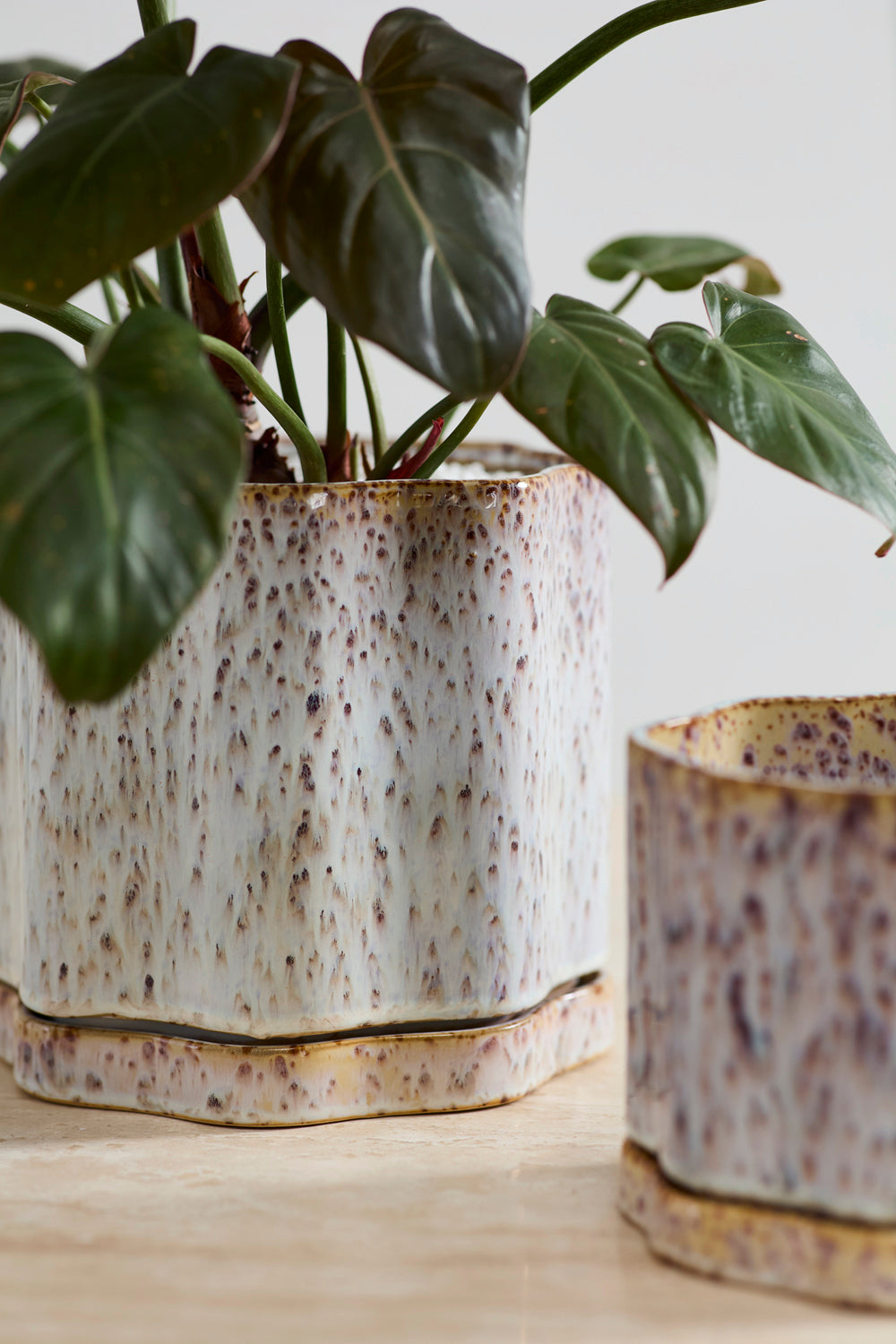 Avenell Pot Set of 2 By Accent Decor | Planters, Troughs & Cachepots | Modishstore - 1